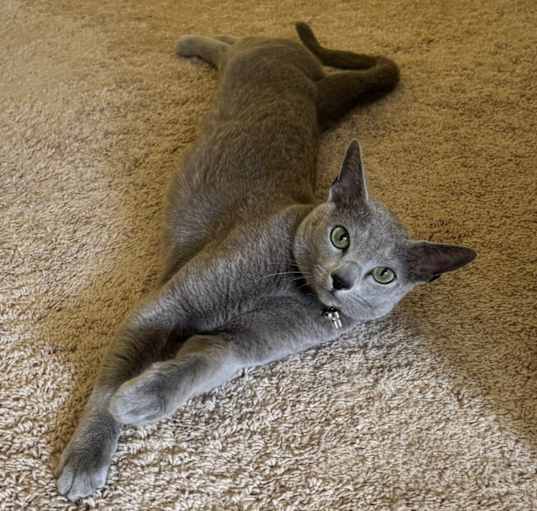 Photo of Catu