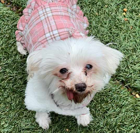 Photo of Moxy