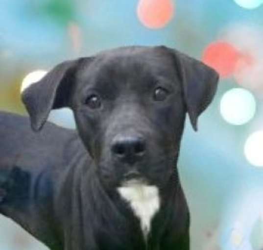 Photo of Athena