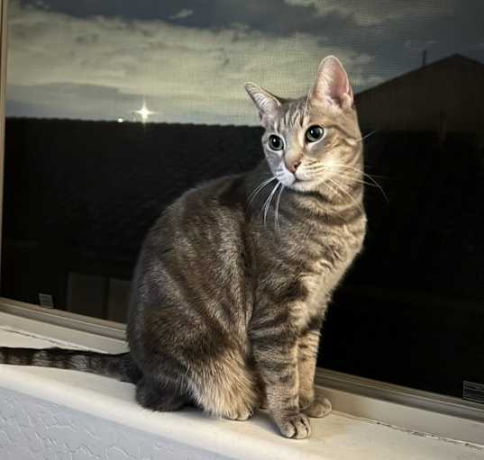 Photo of Juni