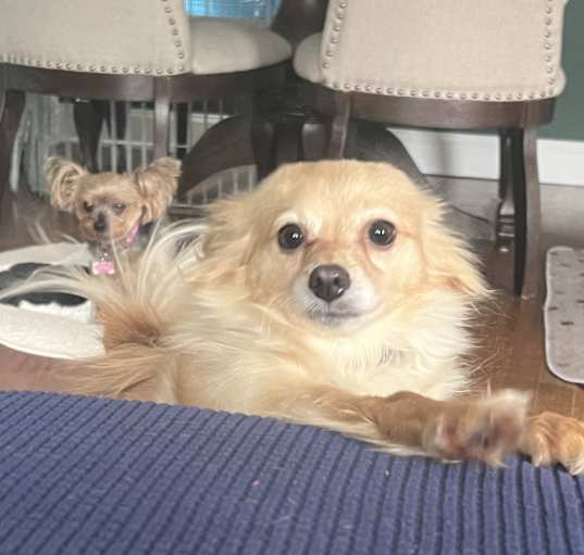 Photo of CeeCee