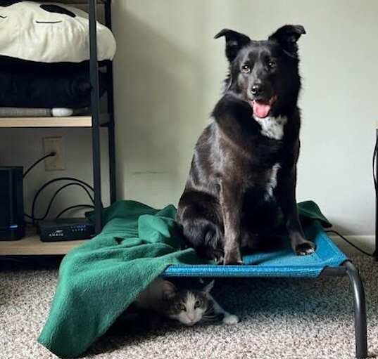 Photo of Little Bear