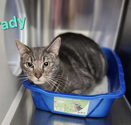 Photo of Grady
