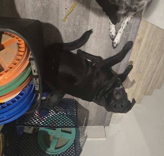 Photo of Monty