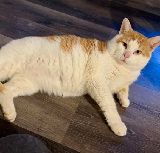 Photo of O’Malley