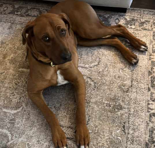 Photo of Gus