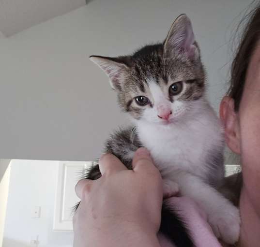 Photo of Pepper
