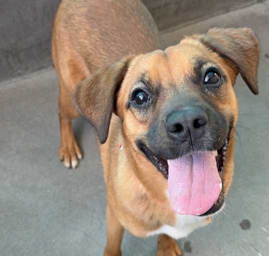 Photo of Sabrina A5690595