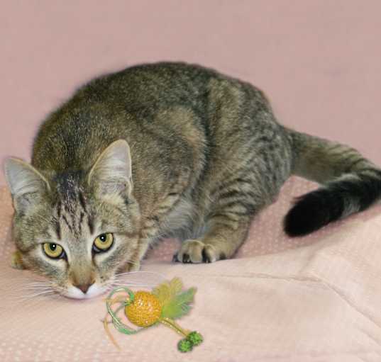 Photo of Flory
