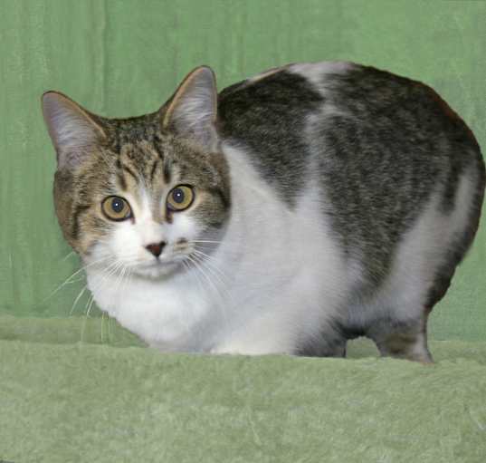 Photo of Franny