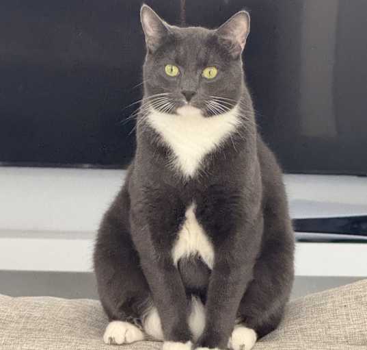 Photo of Whiskey
