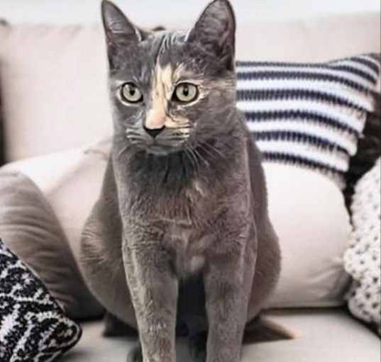 Photo of Charlie
