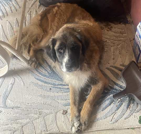 Photo of Miracle