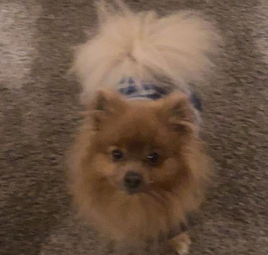 Photo of Theo
