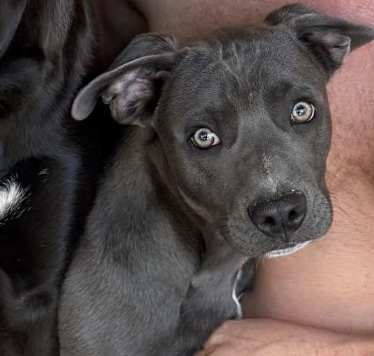 Photo of Konan