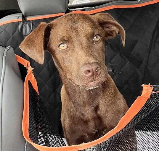 Photo of Hazel