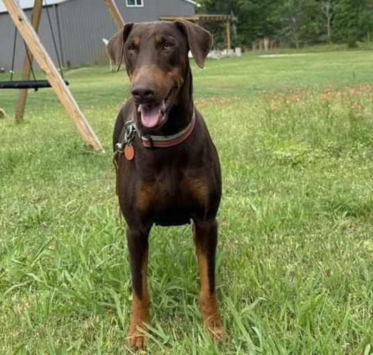 Photo of Mocha