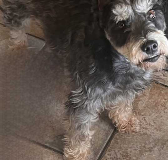 Photo of Heidi