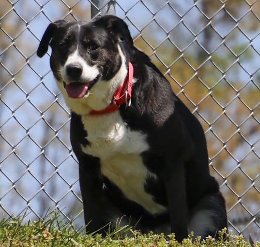 Photo of SPOT