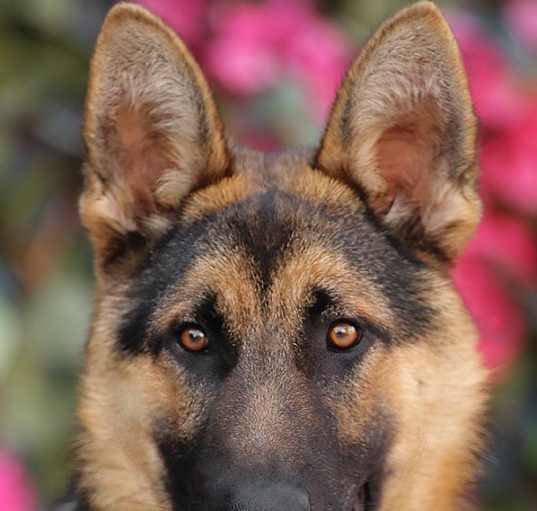 Photo of Knox von Kesten
