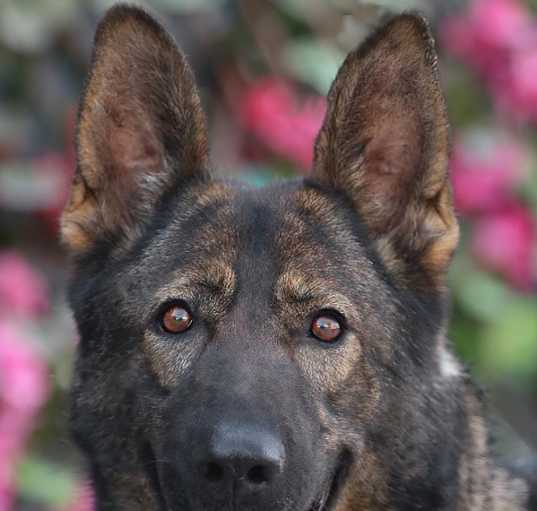 Photo of Storm von Selbitz