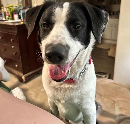 Photo of Murphy