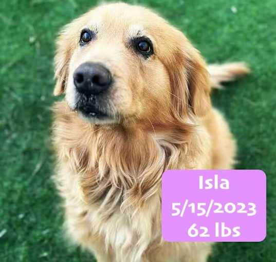 Photo of Isla