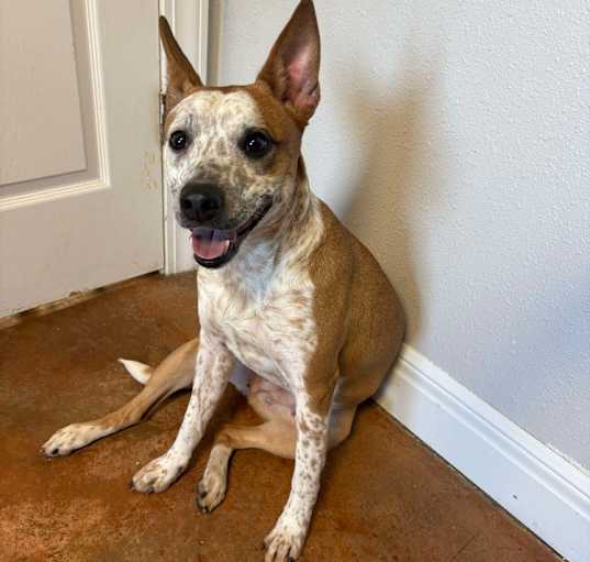 Photo of Barklin