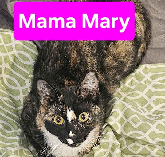 Photo of Mama Mary
