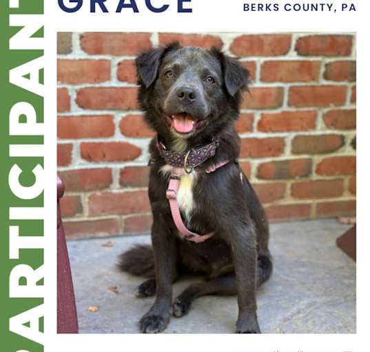 Photo of Grace