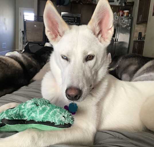 Photo of Kiki