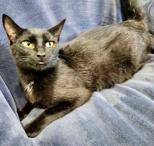Photo of Emerald