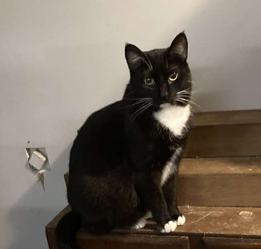 Photo of Squeaker