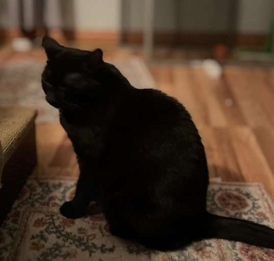 Photo of Sapphire