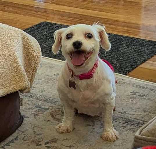 Photo of Rita