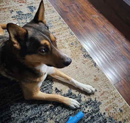 Photo of Sasha