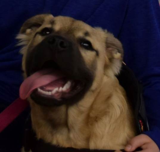 Photo of Lucy
