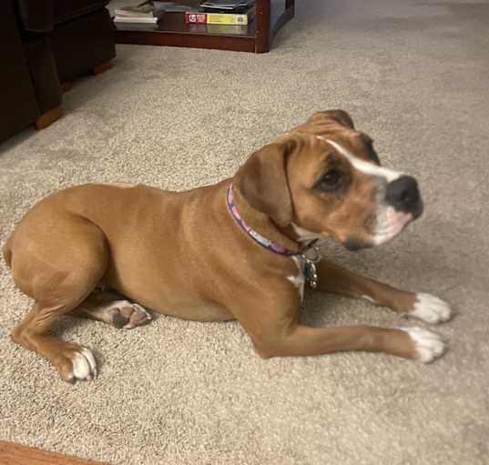 Photo of Ginny