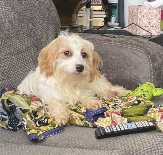 Photo of Ernie