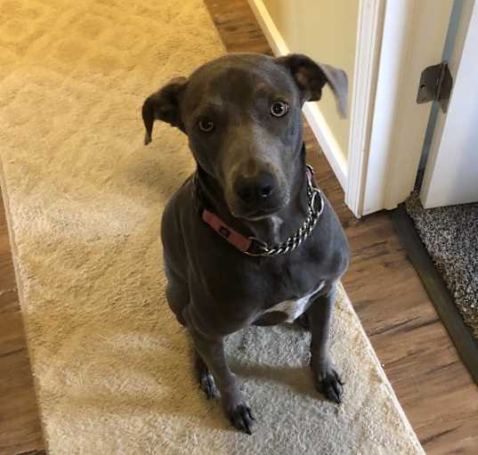 Photo of Maggie