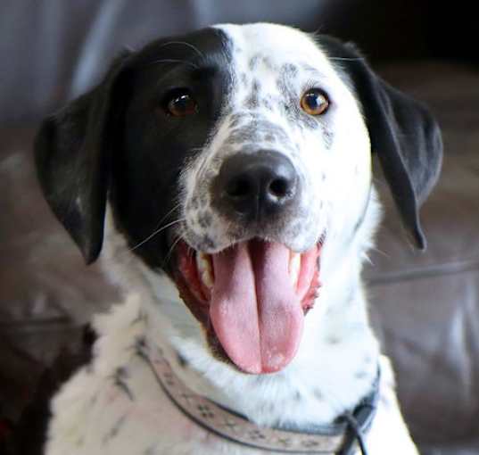 Photo of Ben