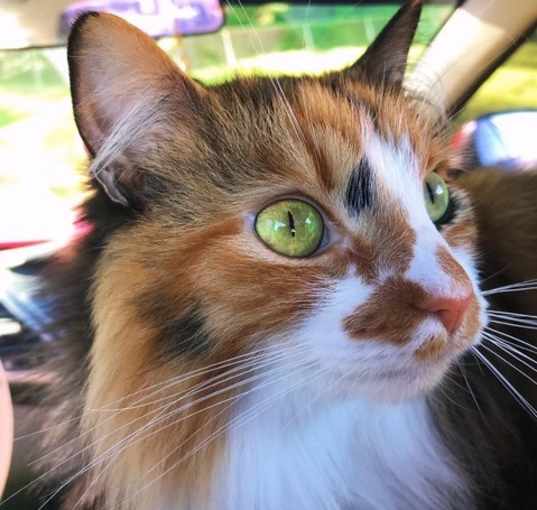 Photo of Mia