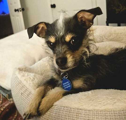 Photo of Roxy