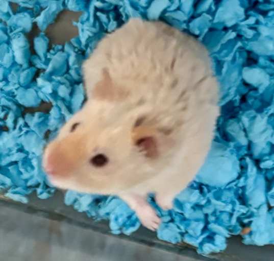 Photo of Rudy
