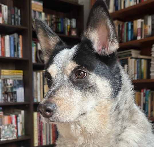 Photo of Emmy