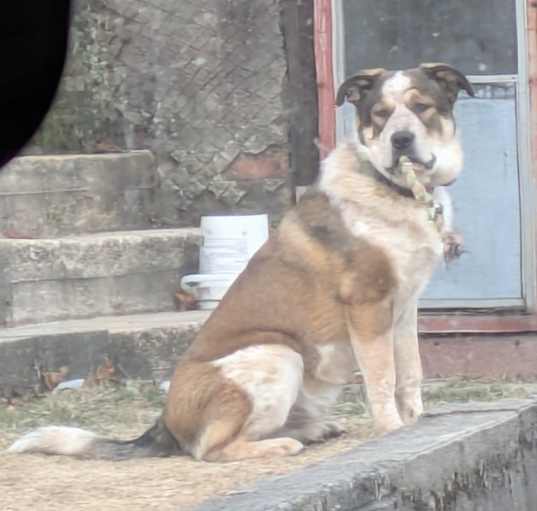 Photo of Arto
