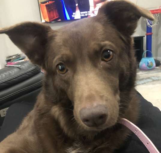Photo of Sammie