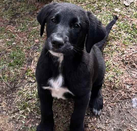 Photo of Lilly