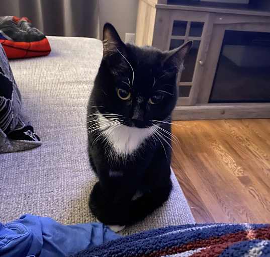 Photo of Alice