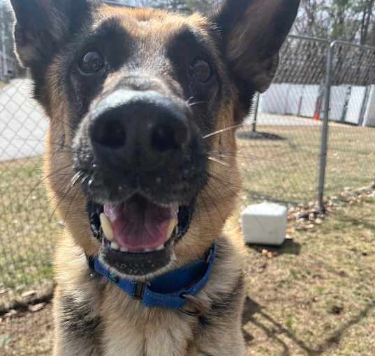 Photo of Echo